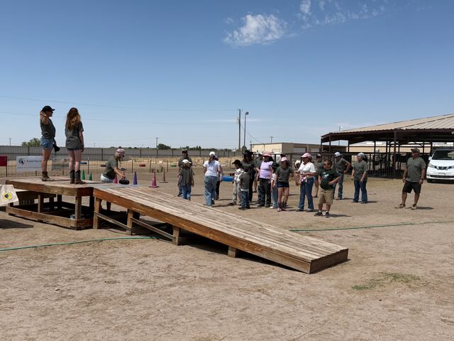 2026 KNJ Summer Camp